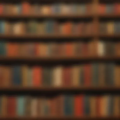 Exquisite Bookshelf Display at Barnes and Noble