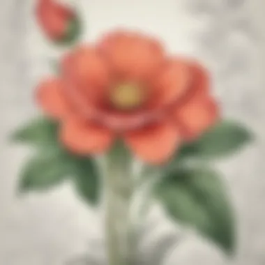 Elegant Botanical Design Elegant botanical design for coloring