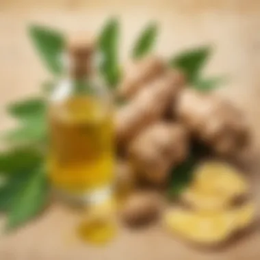 Ginger essential oil for digestive wellness