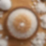 A close-up of natural exfoliating ingredients like sugar and sea salt