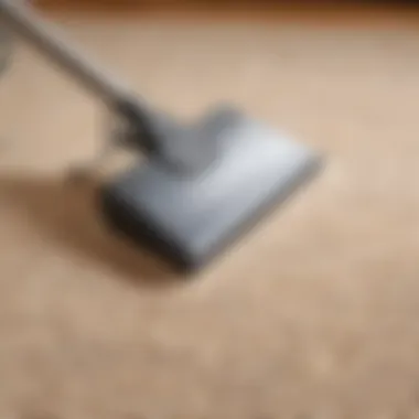 Freshly cleaned carpet with natural homemade cleaner