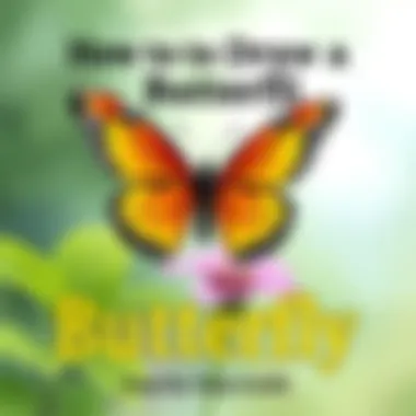 How to Draw a Butterfly Step by Step Introduction