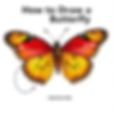 Notable How to Draw a Butterfly Step by Step