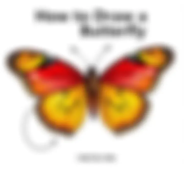 Notable How to Draw a Butterfly Step by Step