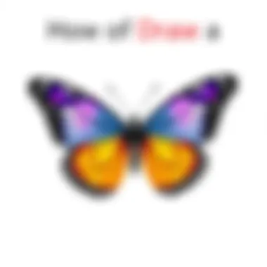 How to Draw a Butterfly Step by Step Summary
