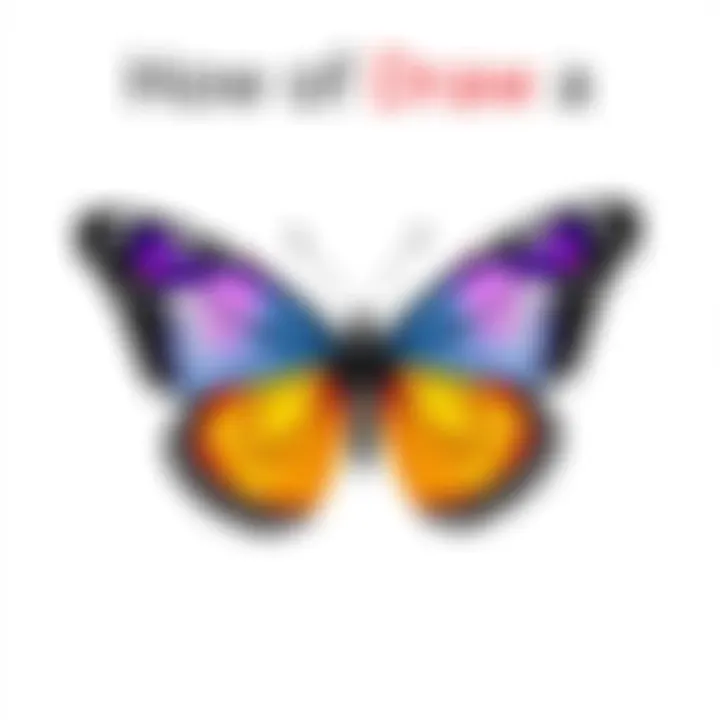 How to Draw a Butterfly Step by Step Summary
