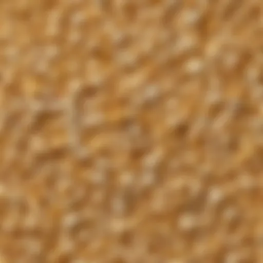 A close-up of popcorn kernels showcasing their unique shape and texture.