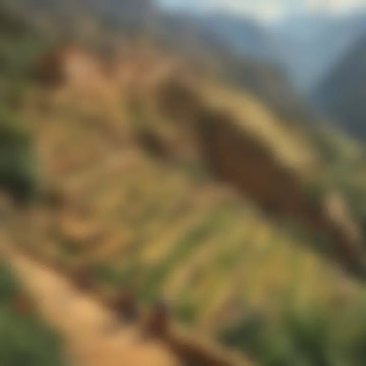 Inca Terraced Agriculture