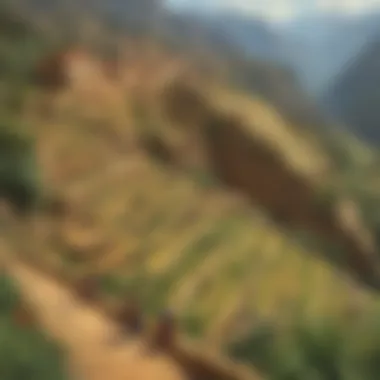 Innovations in Inca Agricultural Practices Inca Terraced Agriculture