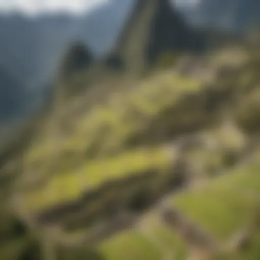 Ancient Incan Terraces at Machu Picchu