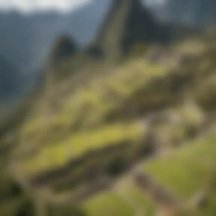 Ancient Incan Terraces at Machu Picchu