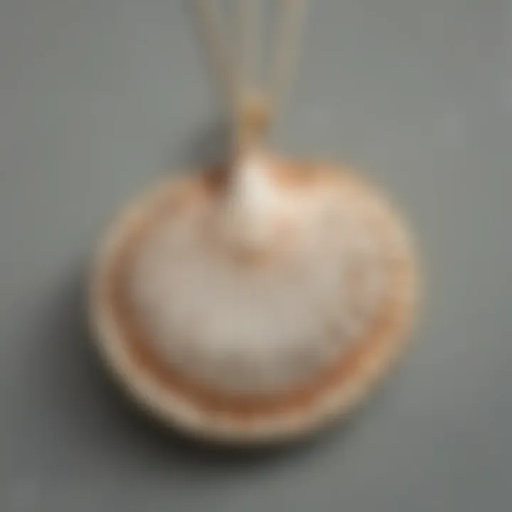 Exquisite Seashell Necklace