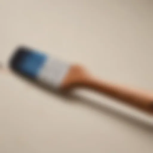 Innovative paintbrush design for mess-free painting