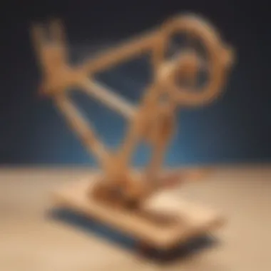 A creative catapult project showcasing principles of force and motion.