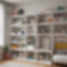 Innovative shelving system for small rooms