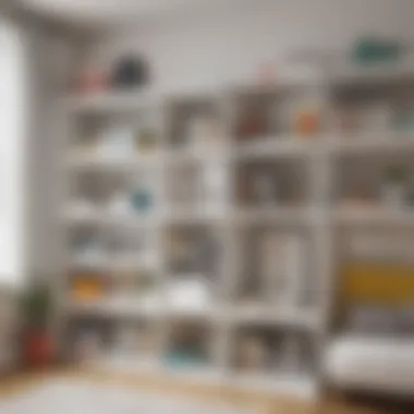 Space-Saving Shelving Solution Innovative shelving system for small rooms