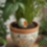 Easter egg hidden in a potted plant