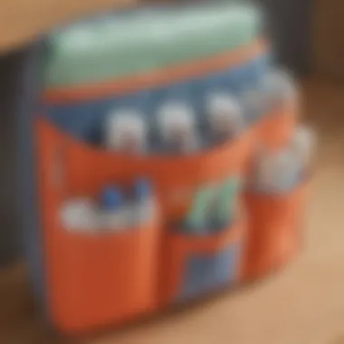 Organizer with Insulated Bottle Pockets Organizer with Insulated Bottle Pockets