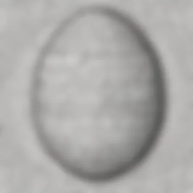 Intricate Easter Egg Pattern for Coloring