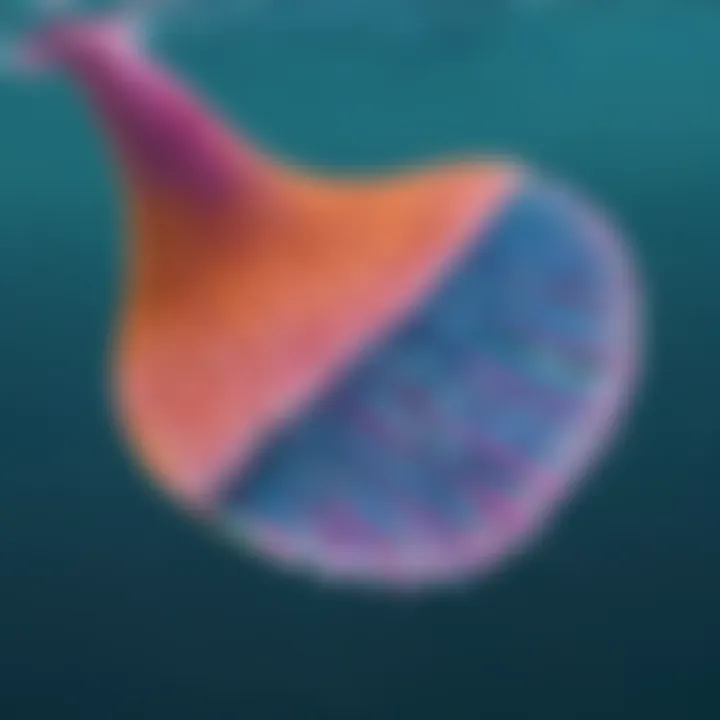 Close-up of intricate monofin design for enhanced propulsion