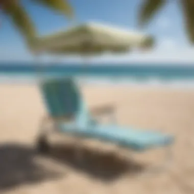 Luxurious Beach Chair with Canopy Luxurious Beach Chair with Canopy at Costco