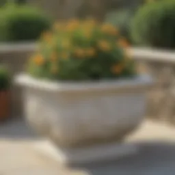 Luxurious Stone Garden Planter at Costco