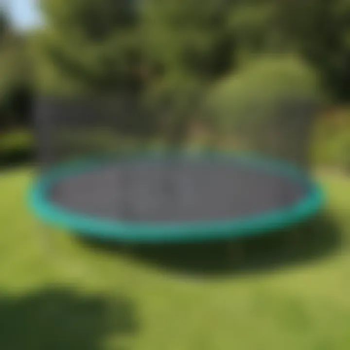 Maintenance Tips for Springfree Trampoline Netting