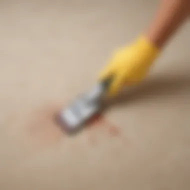 Stain removal tools and techniques