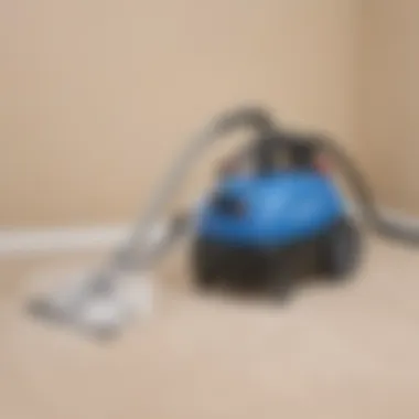 Professional steam cleaning equipment