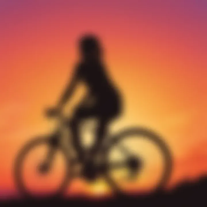 Silhouette of a cyclist against a vibrant sunset