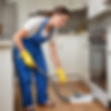 Efficient Cleaning Techniques Efficient Cleaning Techniques