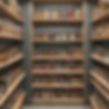 Functional Pantry Transformation