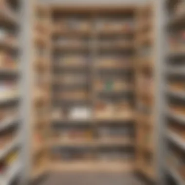 Innovative Pantry Storage Solution