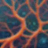 Innovative microscope view of cellular structures