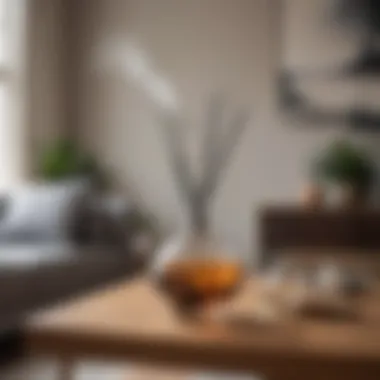 Sophisticated Diffuser in Modern Setting Elegant diffuser in a modern living room