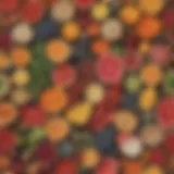 Vibrant array of natural food colors derived from plants and minerals