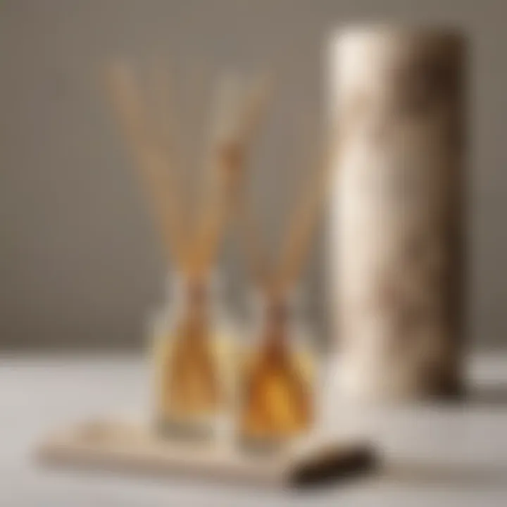 Natural Reed Diffuser Set