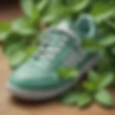 Mint Leaves Shoe Odor Eliminator Refreshing mint leaves in shoe