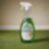 Organic Carpet Cleaner Bottle