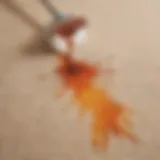 Organic Carpet Stain Cleaner