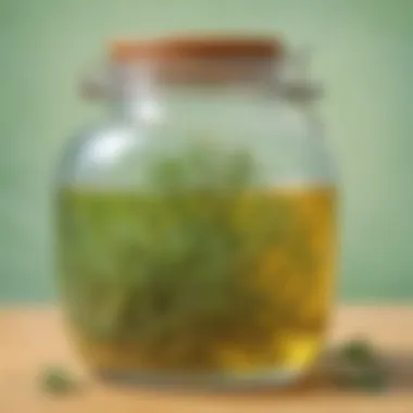 Organic Infusion: Gentle Lice Removal Remedy Organic Infusion for Lice Removal