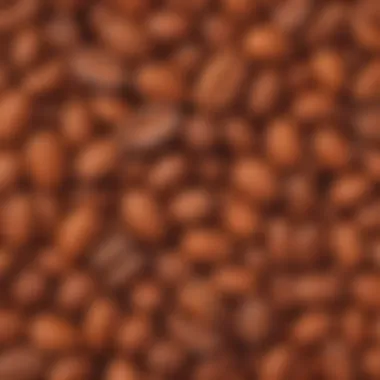 Aromatic Cocoa Beans Harvested for Ovaltine Aromatic Cocoa Beans