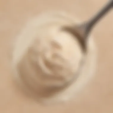 Creamy Milk Powder for a Luscious Ovaltine Texture Creamy Milk Powder