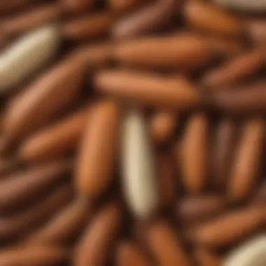 Exotic Vanilla Pods Infused in Ovaltine Mix Exotic Vanilla Pods