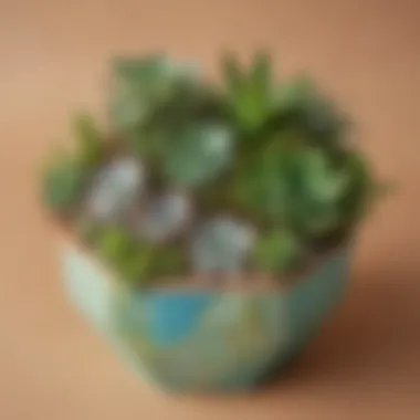 Personalized Succulent Garden in Geometric Pot