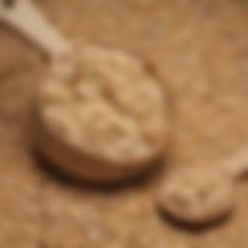 Prehistoric Jurassic Oatmeal Delight