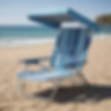 Premium Quality Beach Chair Costco's Premium Quality Beach Chair with Canopy