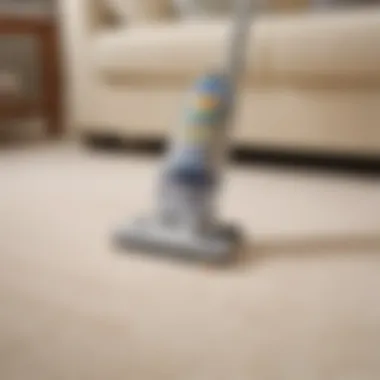 Professional Carpet Stain Remover