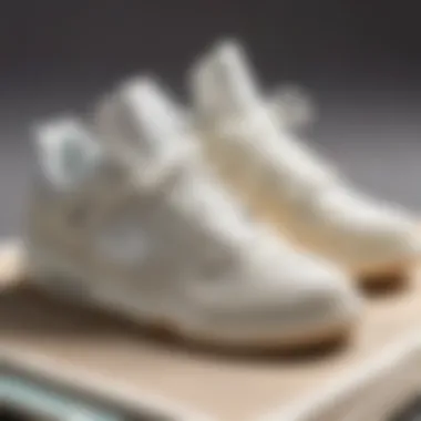 Sneaker being treated with natural deodorizing agent