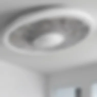 Sleek and Modern Airfort Fan Aesthetics Sleek and Modern Airfort Fan Aesthetics